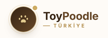 Toypoodle Türkiye logosu